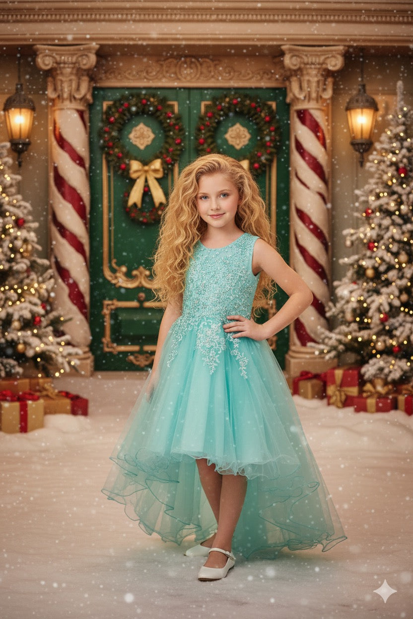 Style #9086 Stunning sleeveless tulle dress