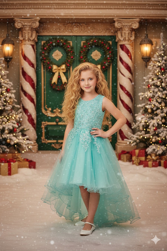 Style #9086 Stunning sleeveless tulle dress