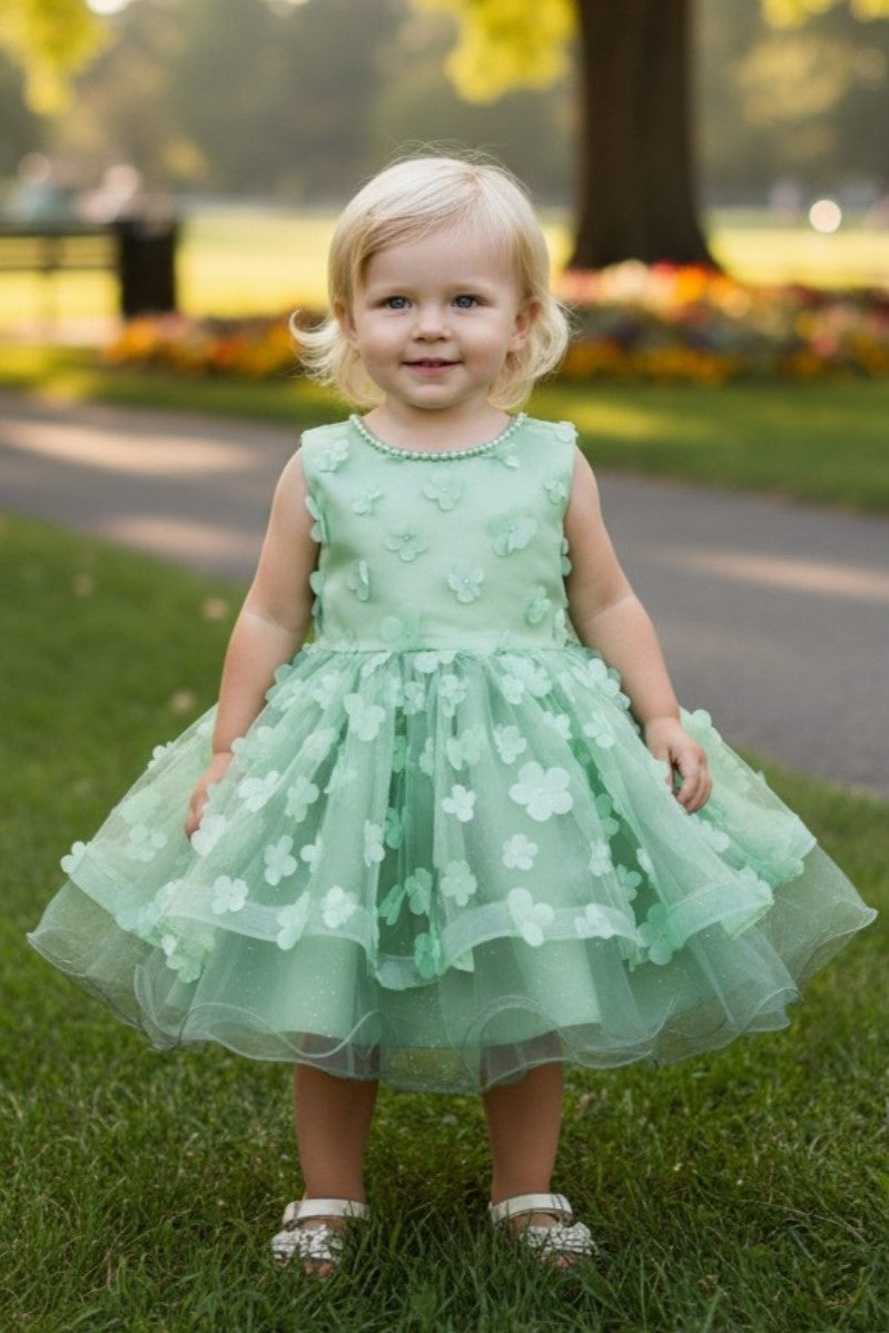STYLE NO : 9170B 3d Daisy Tulle Flower Baby Dress