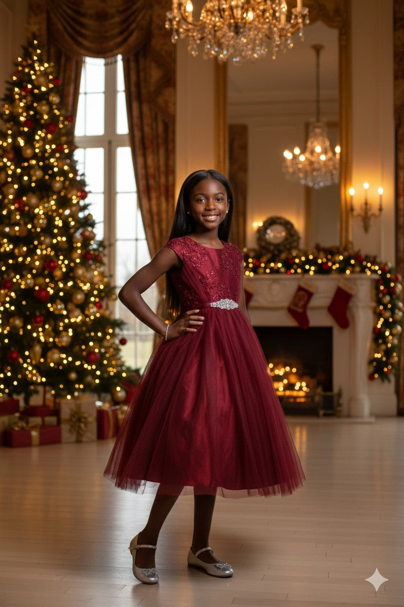 Embroidery with Glitter, Mesh Dress Style #299