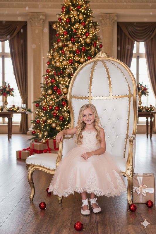 Style No. 7007 Lace Appliqué Illusion Bateau Dress